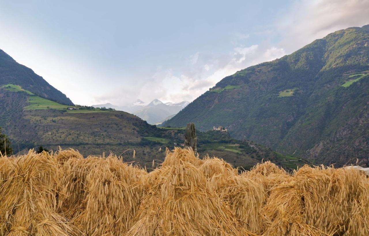 Gasthof Weisses Kreuz Naturns Exterior foto